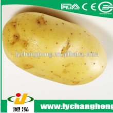 2014 neue Ernte frische Kartoffel Exporteur aus China